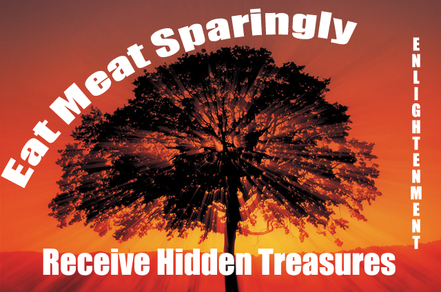 Eat Meat Sparingly Logo